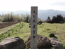 DSC07785_Rs.JPG