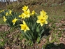 DSC07787_Rs.JPG