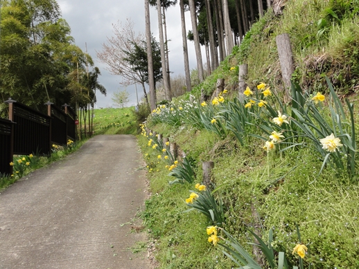 DSC07916_Rs.JPG