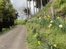 DSC07916_Rs.JPG