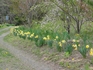 DSC07922_Rs.JPG
